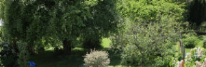 einfluss_2026-01006001.jpg